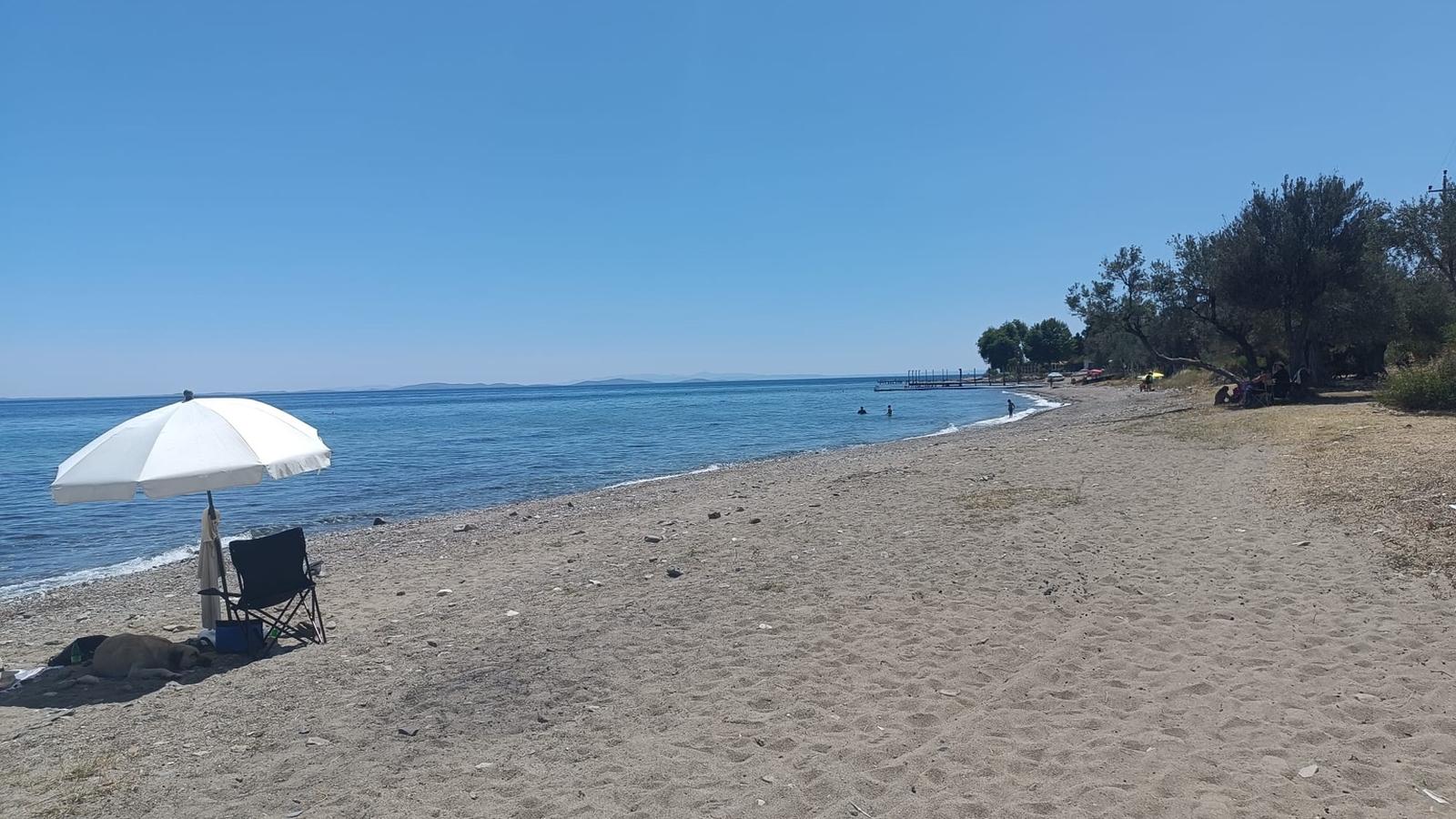 Bahçeli Villa Dairesi (1+1)